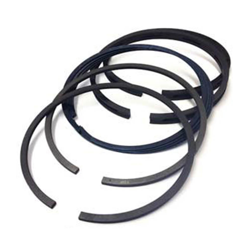 Set 5 Segmenti - Perkins Seria 3.152 4.203