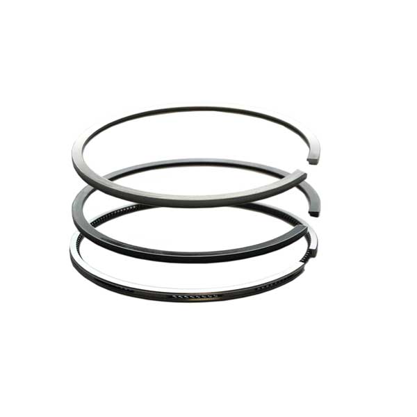 Set Segmenti - Cummins Serie C - 6C 6CT 6 Cta