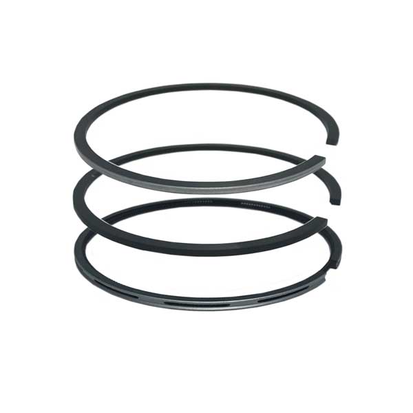 Set Segmenti - Perkins Seria 1100 R1 +0.50 mm Re Rg