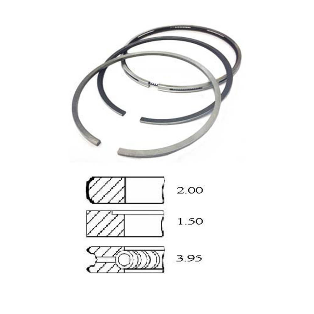 Set Segmenti +1.00 mm- Perkins Seria 100 Seria 400