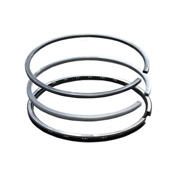 Set Segmenti - Perkins Serie 400 77 mm